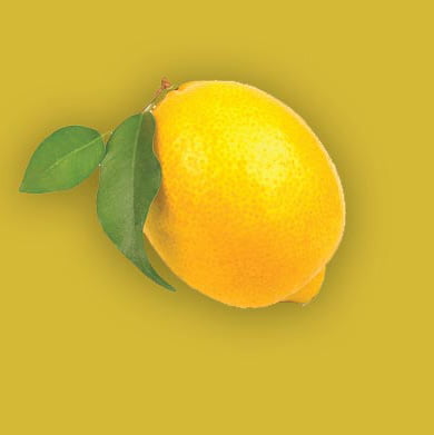 Fresh Lemon